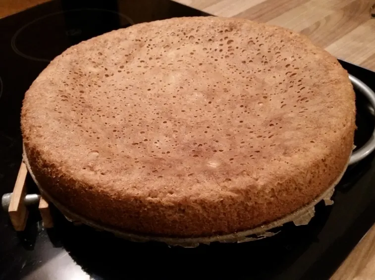 Pan di spagna