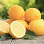 Esempio limoni biologici