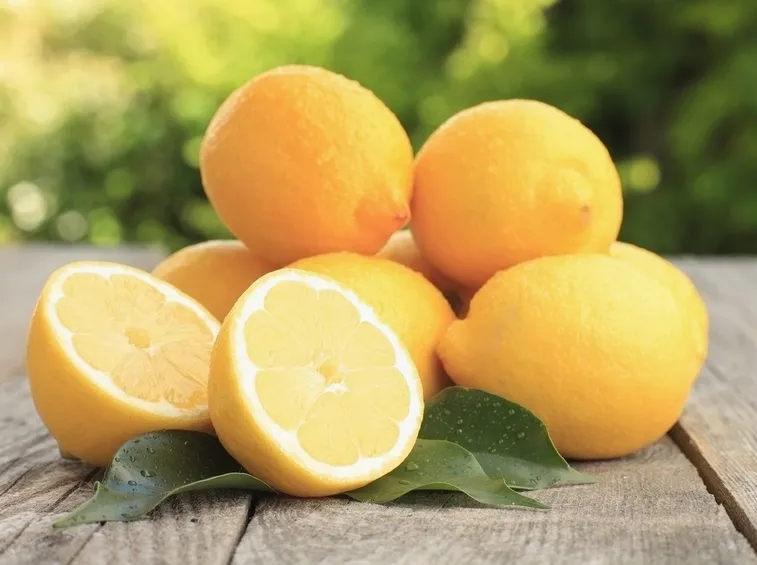 Esempio limoni biologici