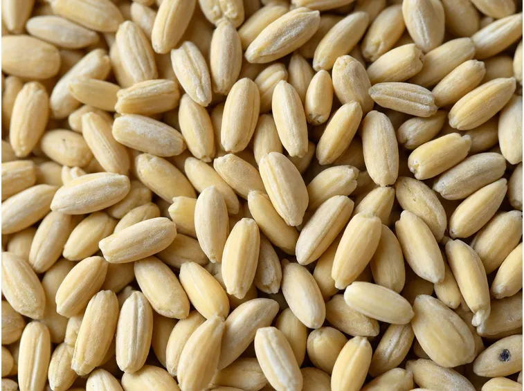 Chicchi di farro decorticato bio