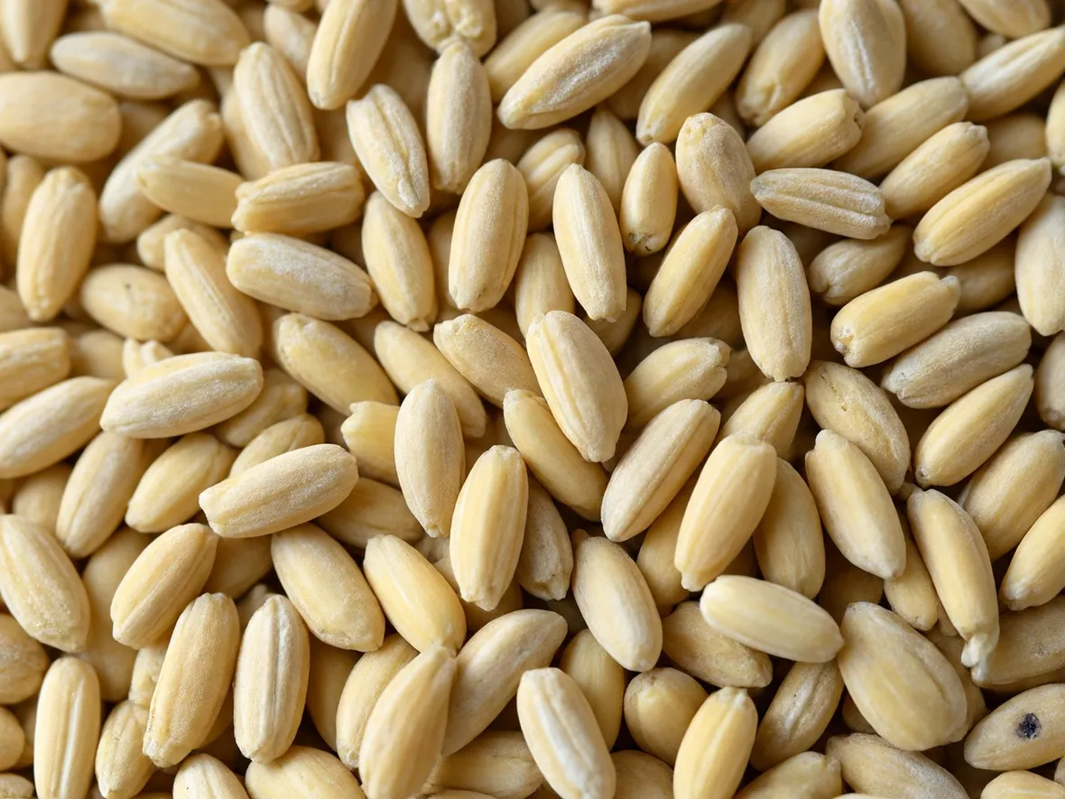 Chicchi di farro decorticato bio