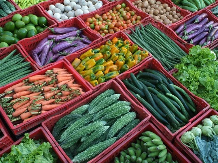 Verdura fresca