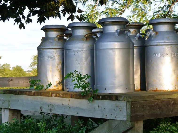 Recipienti agricoli latte