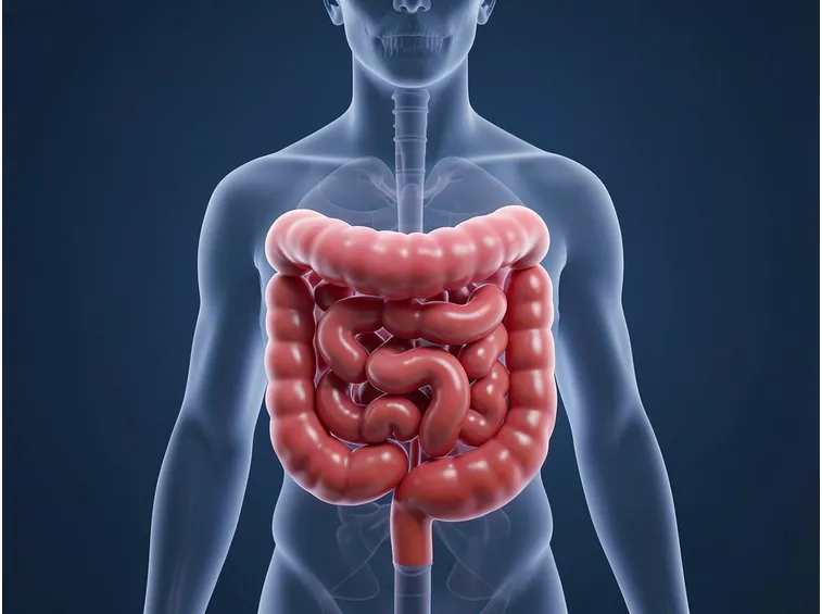 Infiammazione intestino
