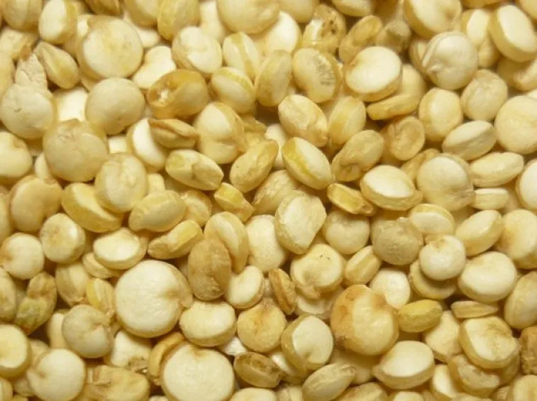 Semi di quinoa