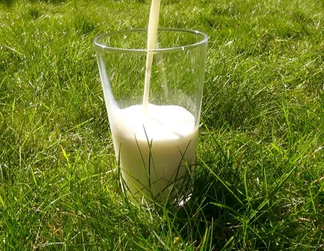 Latte senza glutine