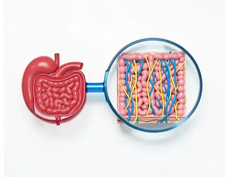 Disturbo nell'intestino tenue