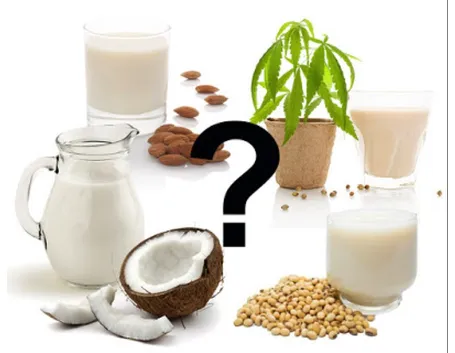 Latte vegetale senza lattosio