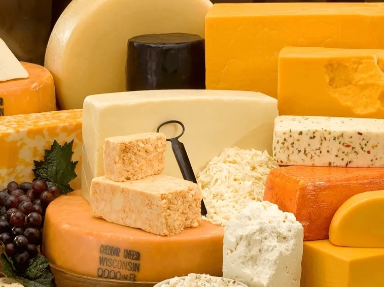formaggi senza lattosio
