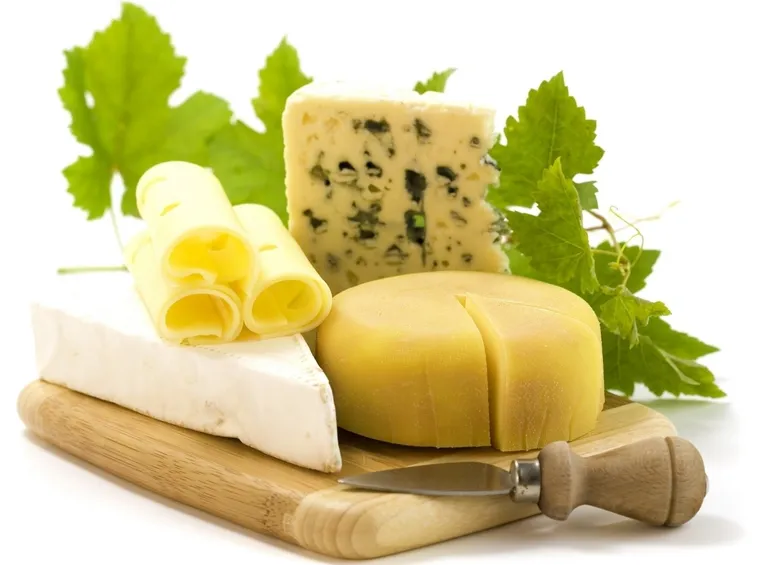 Formaggi vegetali