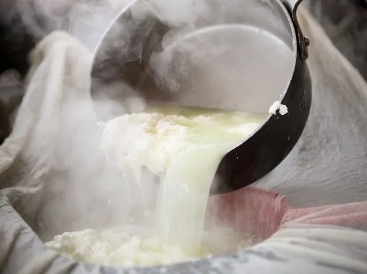 Produzione di formaggio delattosato