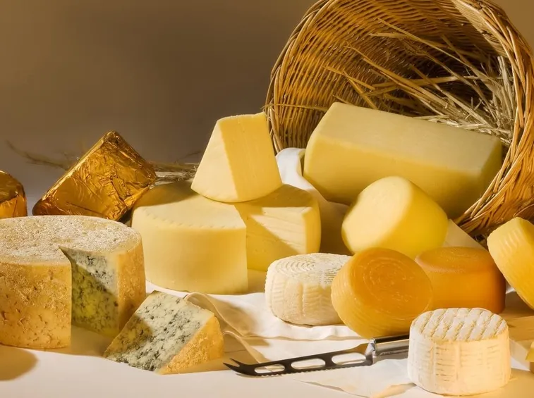 Formaggi privi di lattosio