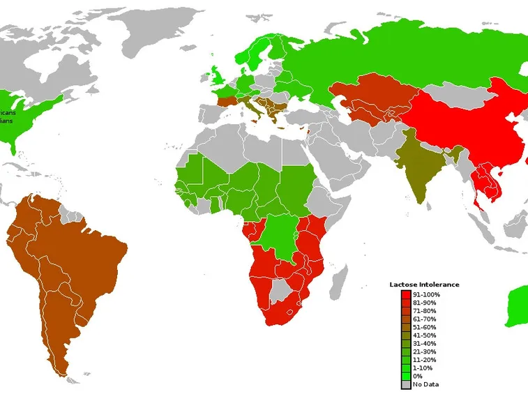 Distribuzione dell'intolleranza al lattosio
