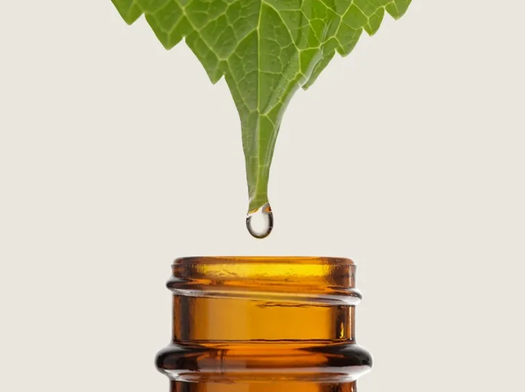 Cosmetico vegan è indice di naturalezza