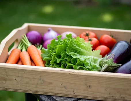 Tanta frutta e verdura per il menu estivo