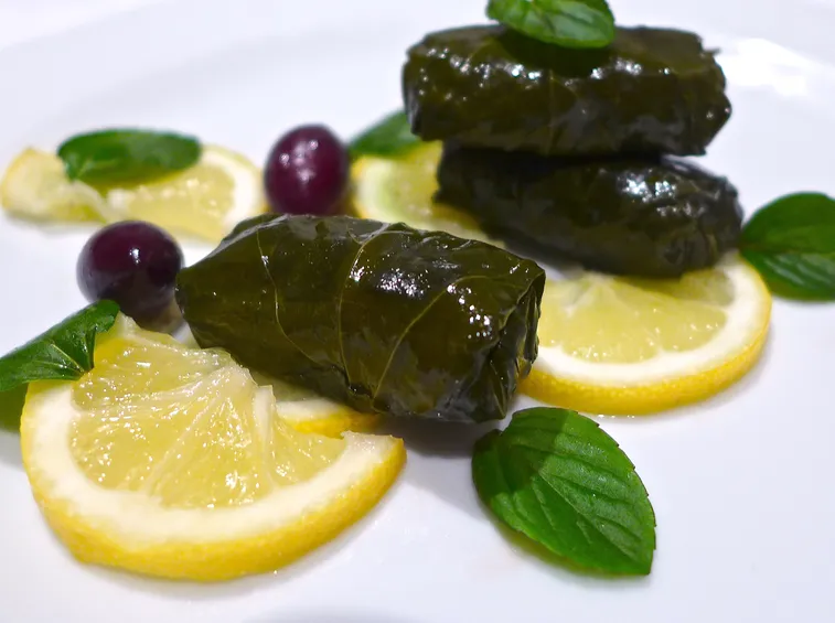 Dolmades greci
