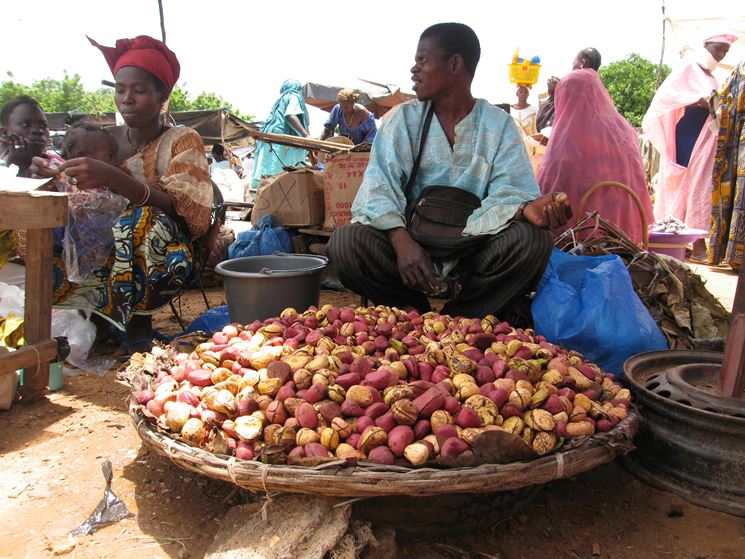 Noci di cola al mercato di Mali