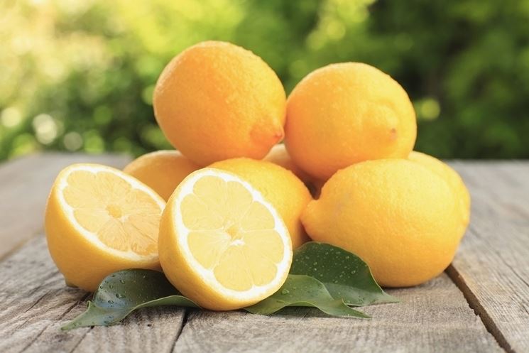 Esempio limoni biologici