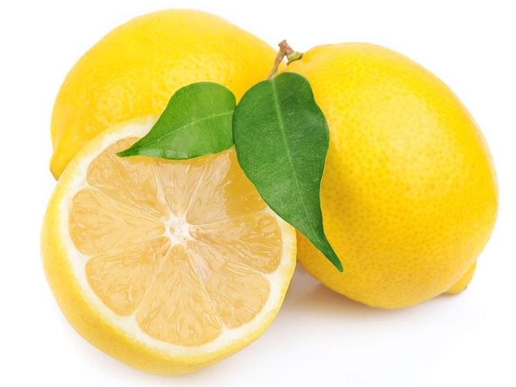 Limoni biologici