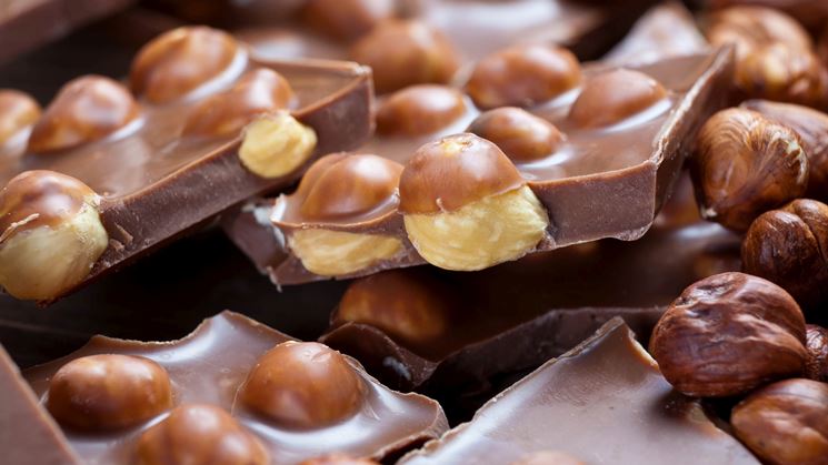 Cioccolato alle nocciole biologico