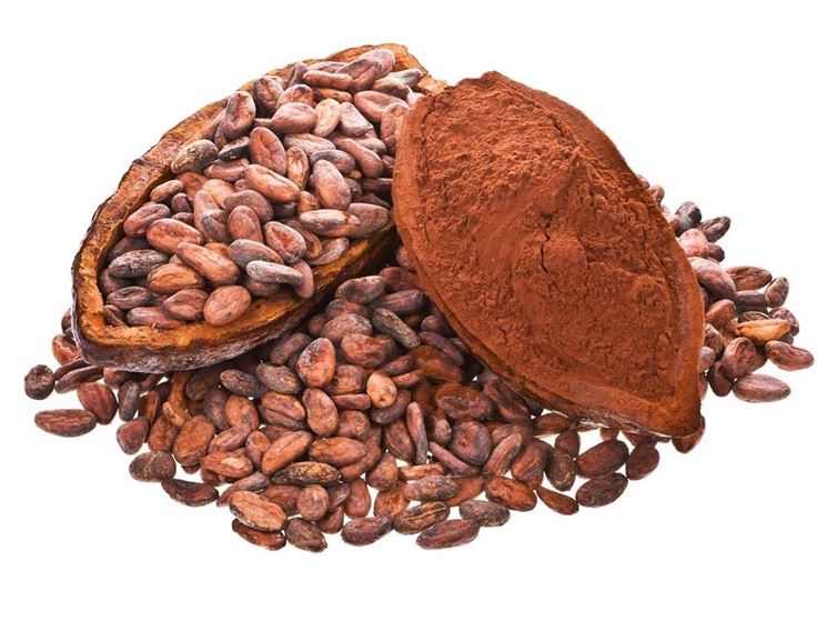 Semi di cacao