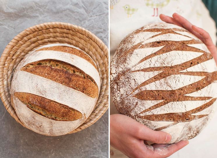 Pane di semola rimacinata di grano khorasan