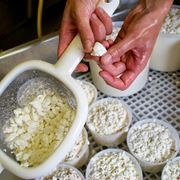 Fase di preparazione del formaggio