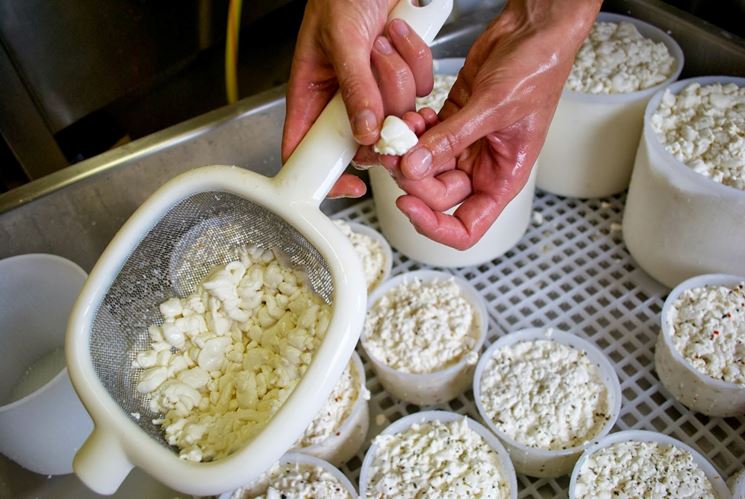 Fase di preparazione del formaggio