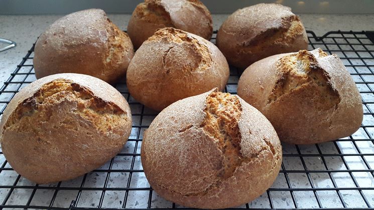 Panini al farro fatto in casa