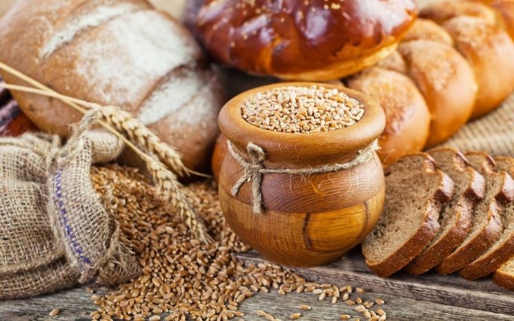 Pane al farro integrale bio