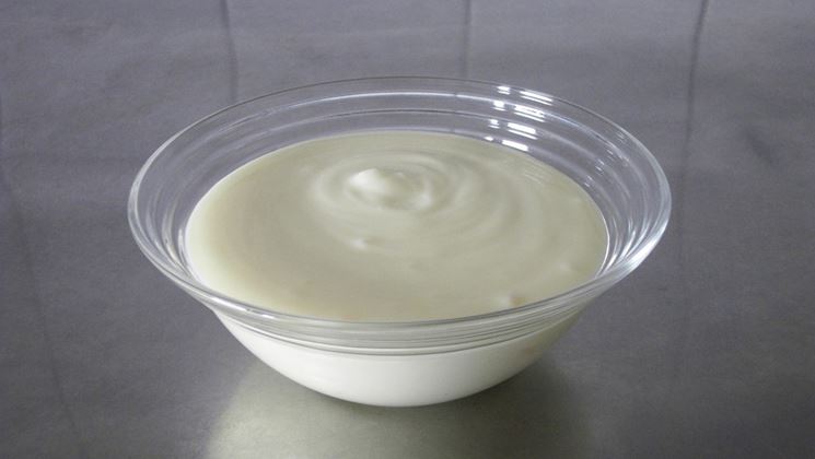 Ciotola di yogurt magro biologico