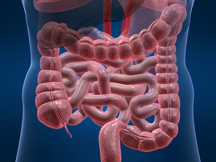 Infiammazione intestino