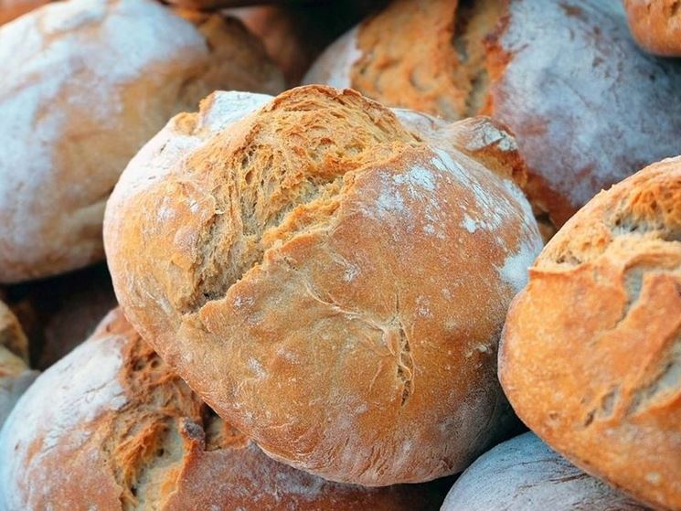 Pane con semola di grano