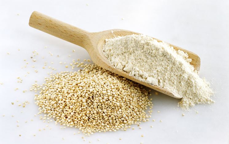 Pianta di Quinoa