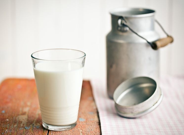 Il latte, la fonte del lattosio