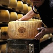 Formaggio stagionato a basso contenuto di lattosio