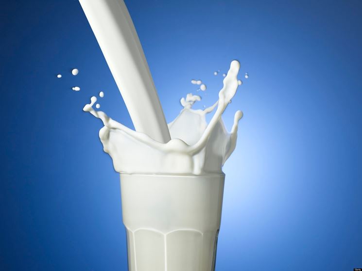 Il latte di bufala contiene lattosio